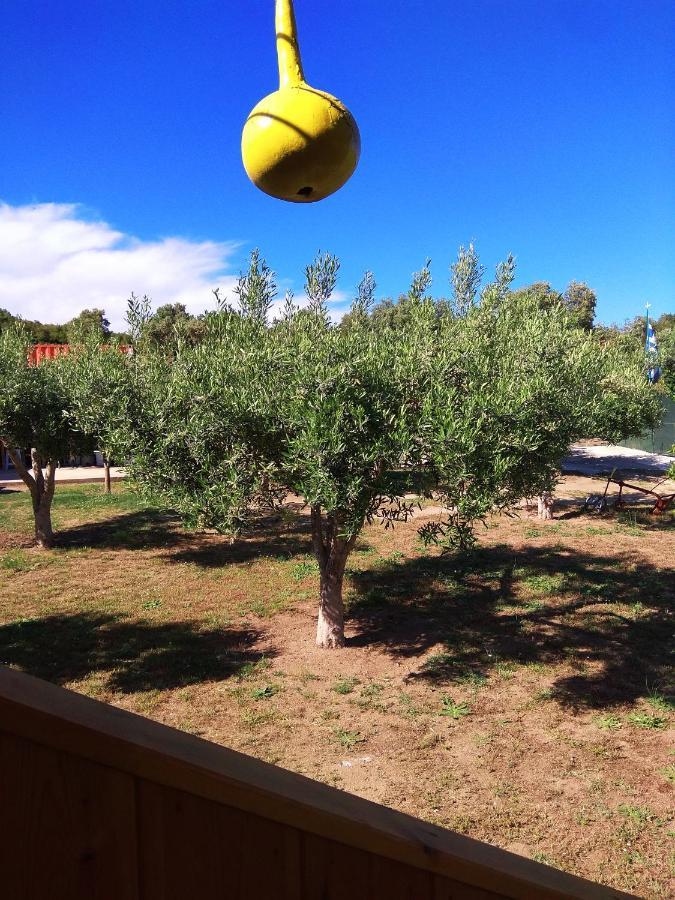 Farma Giannis Apartman Szárti Kültér fotó